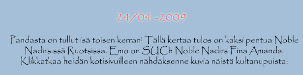 24/4