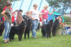 Best in Show breeder at the Finnish specialty 2008