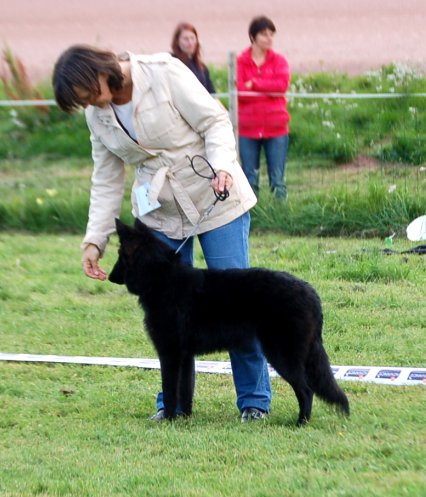 Diddi at her first show