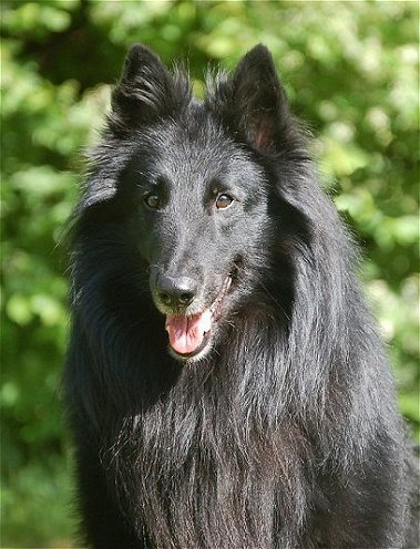 Drifus May 2008