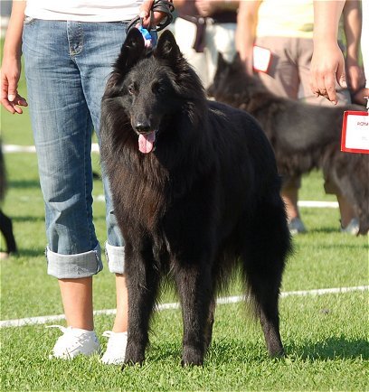 Kaszmir