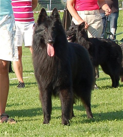 Percy