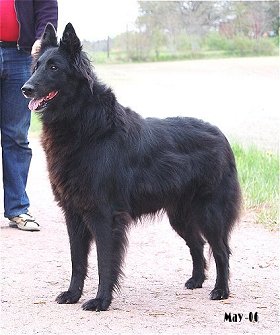 Zeena