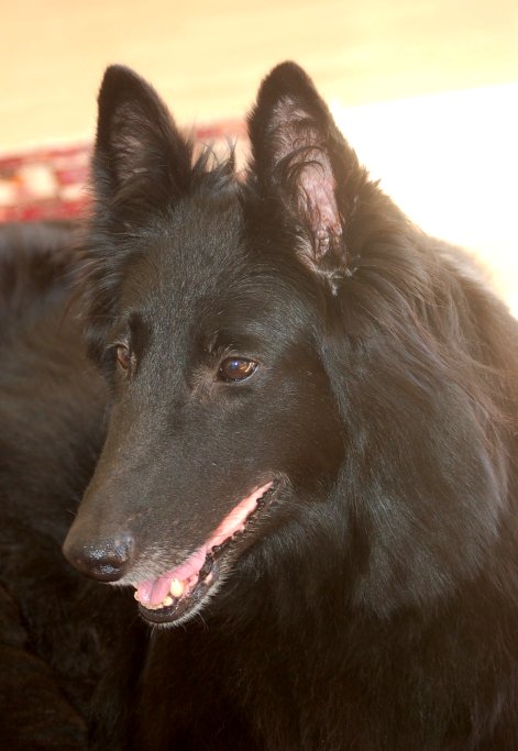 Zeena 8 years