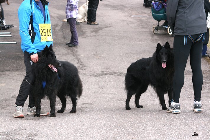 Pegasus and Paxton