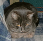 ragnar