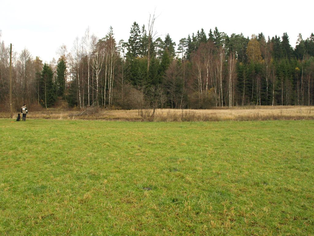 Högra delen av sökfältet