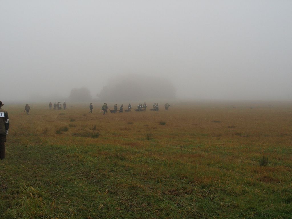 Grupp 1 på väg mot 1:a dammen