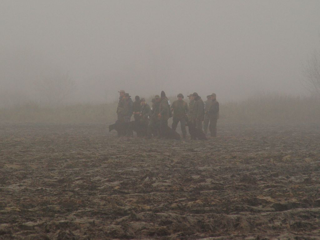Grupp nummer 1 i arbete vid andra dammen