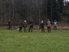 Hundarna i jobb i sökfältet