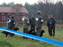 Genomgång inför walk-up med domarna