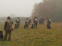 Grupp 2 vid 1:a dammen