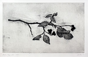 GR_Al_17,5x29_1984.jpg