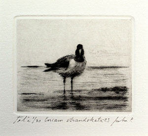 GR_Ensam_strandskata_5,3x6,5cm_2023.jpg
