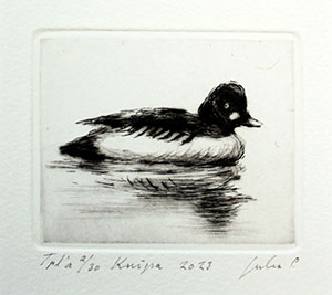 GR_Knipa_5,3x6,5cm_2023.jpg