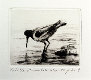 GR_Strandskata_letar_5,3x6,5cm_2023.jpg