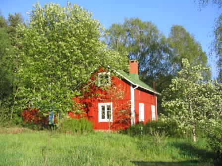 ute
