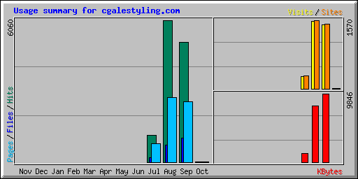 Usage summary for cgalestyling.com