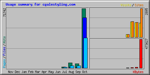 Usage summary for cgalestyling.com