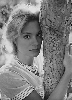 photo Ingrid Thulin