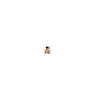 photo Neel Sethi