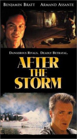 poster After the Storm&nbsp;&nbsp;(2001)