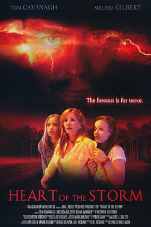 poster Heart of the Storm&nbsp;&nbsp;(2004)