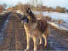 arwen06.jpg (201267 byte)
