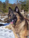 arwen10.jpg (181788 byte)