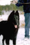 cam1.JPG (67389 byte)