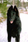 camigo04.JPG (65631 byte)