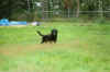 camigo4.JPG (274636 byte)