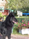 camigo 001.jpg (376799 byte)