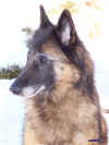 feb. 001.jpg (191705 byte)