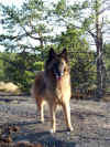 juli 021.jpg (256673 byte)