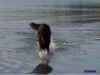 may 001.jpg (173474 byte)