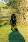migo1.JPG (106754 byte)