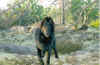 migo2.JPG (104370 byte)