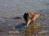 tell3.jpg (258425 byte)