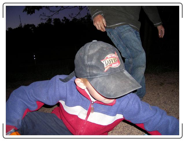 Nästa bild