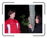 SANY0173 * 2816 x 2112 * (2.15MB)